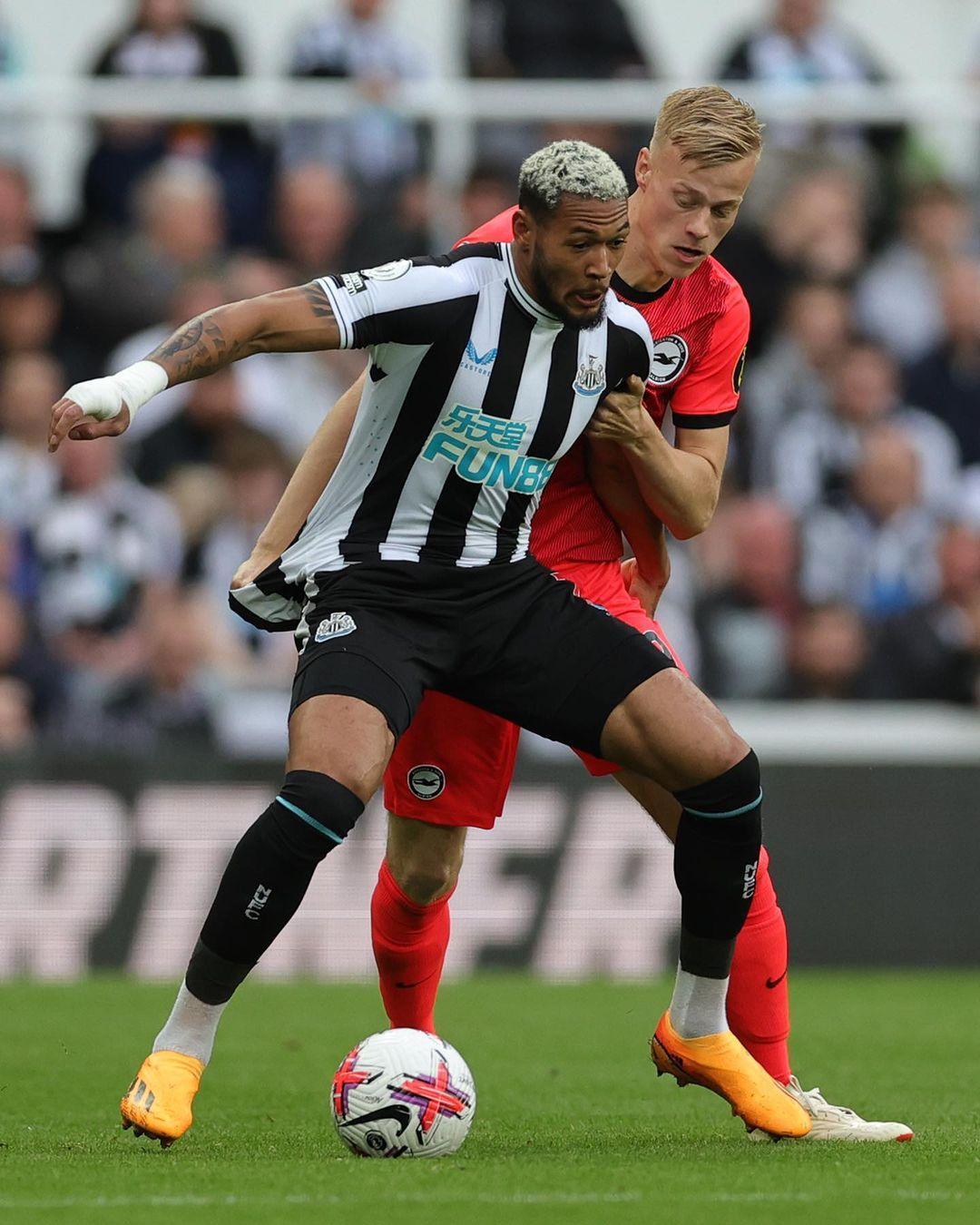 汉密尔顿提 汉密尔顿提